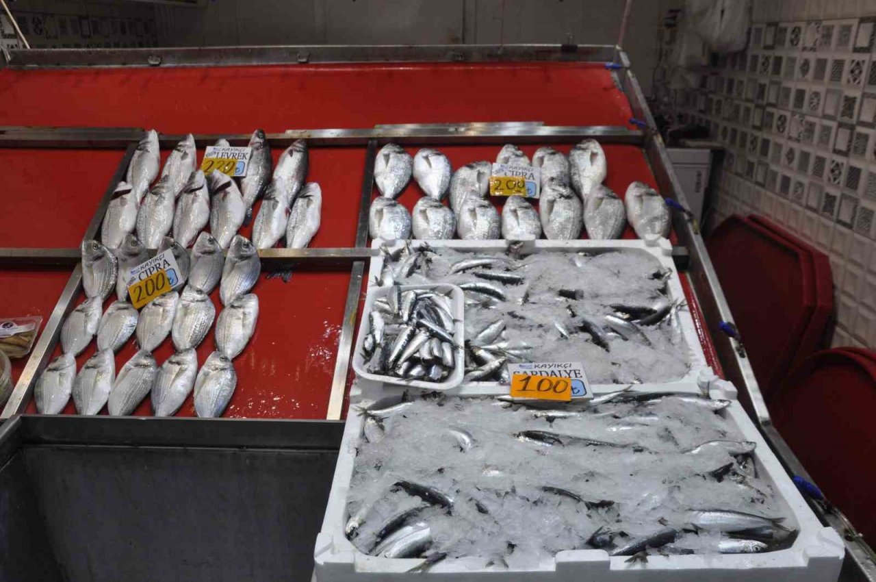 Av sezonunun ilk gününde sardalyenin fiyatı yarı yarıya düştü