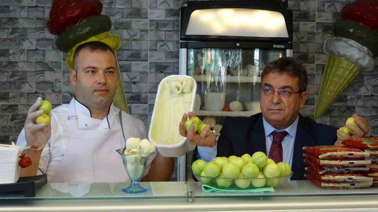 Avrupa Birliği Coğrafi İşaretli Bayramiç Beyazı’nın dondurması yapıldı