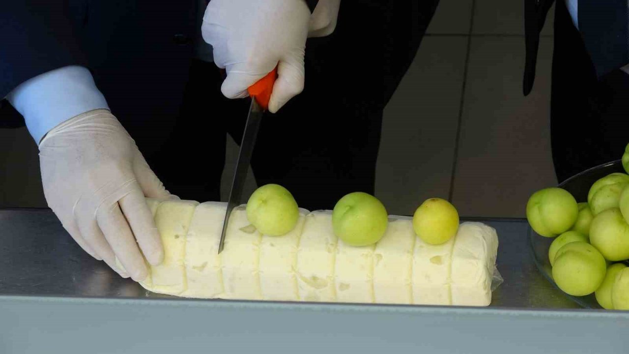 Avrupa Birliği Coğrafi İşaretli Bayramiç Beyazı’nın dondurması yapıldı