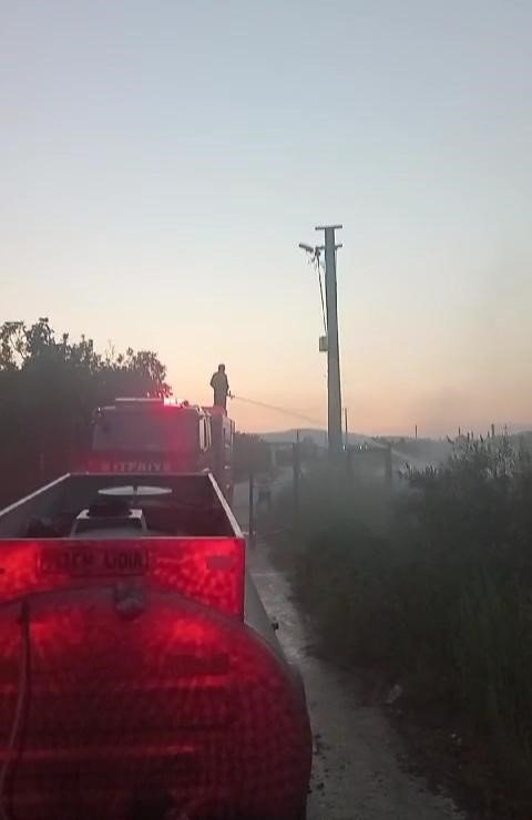 Tripolis’te örtü yangını korkuttu