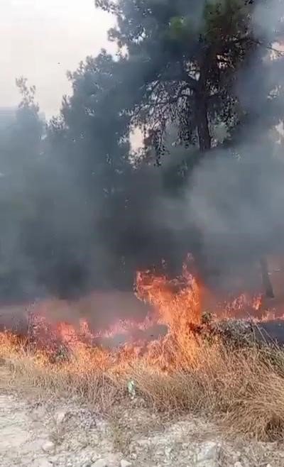 Tripolis’te örtü yangını korkuttu
