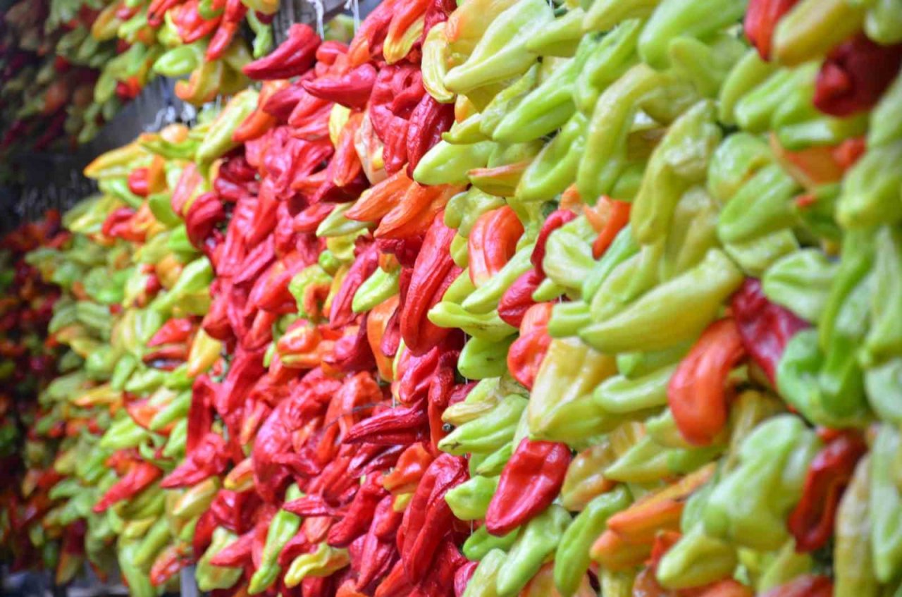 Tescilli Kale biberinde hasat devam ediyor