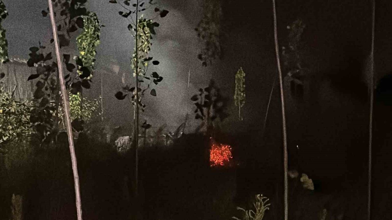 Kereste fabrikasında korkutan yangın