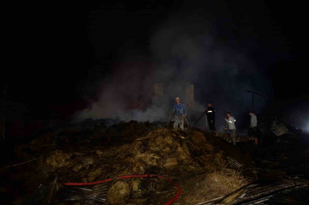 Erzurum Valisi Mustafa Çiftçi, 8 evin kül olduğu köyde incelemelerde bulundu