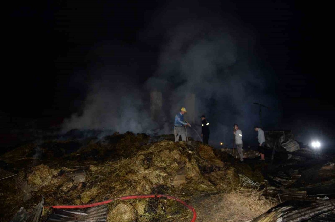 Erzurum Valisi Mustafa Çiftçi, 8 evin kül olduğu köyde incelemelerde bulundu