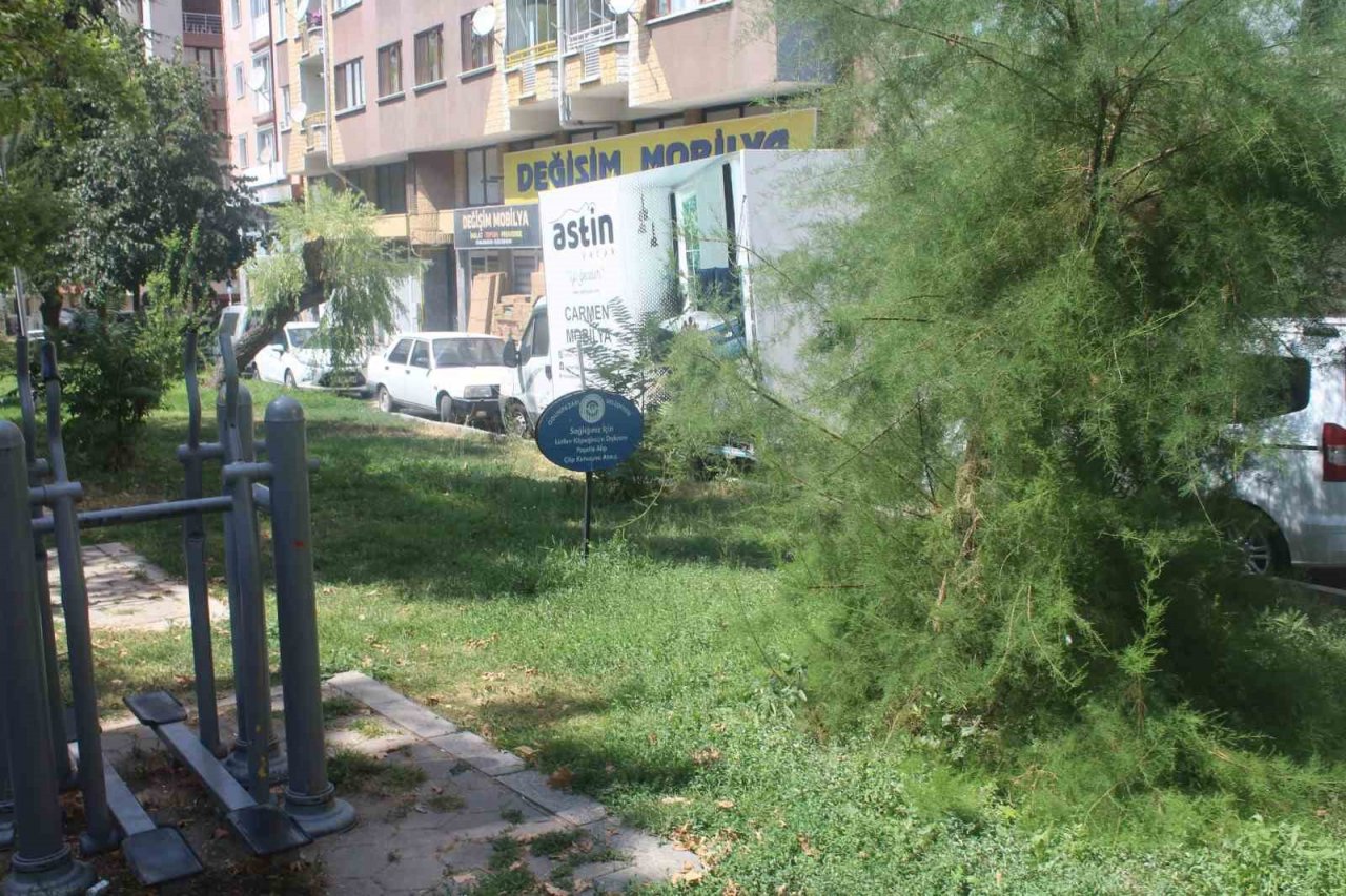 Şehit Yalçın Baykuş parkı bakım istiyor