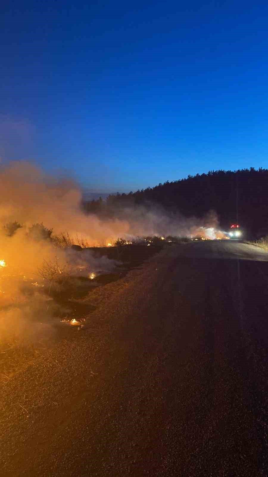 Gediz’de korkutan yangın