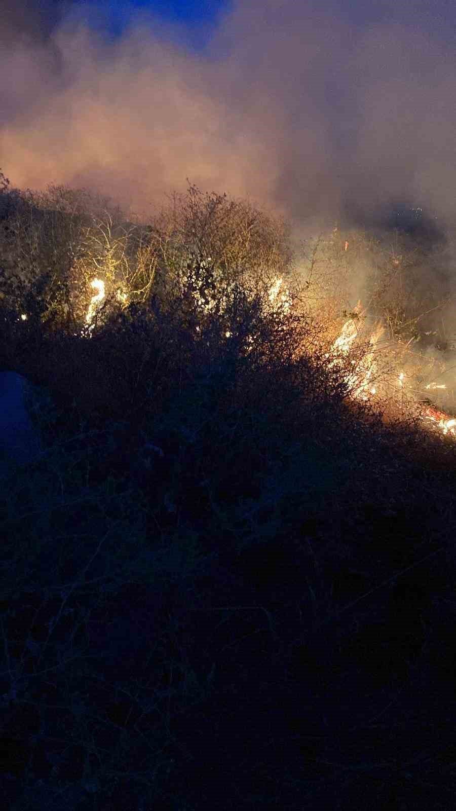 Gediz’de korkutan yangın