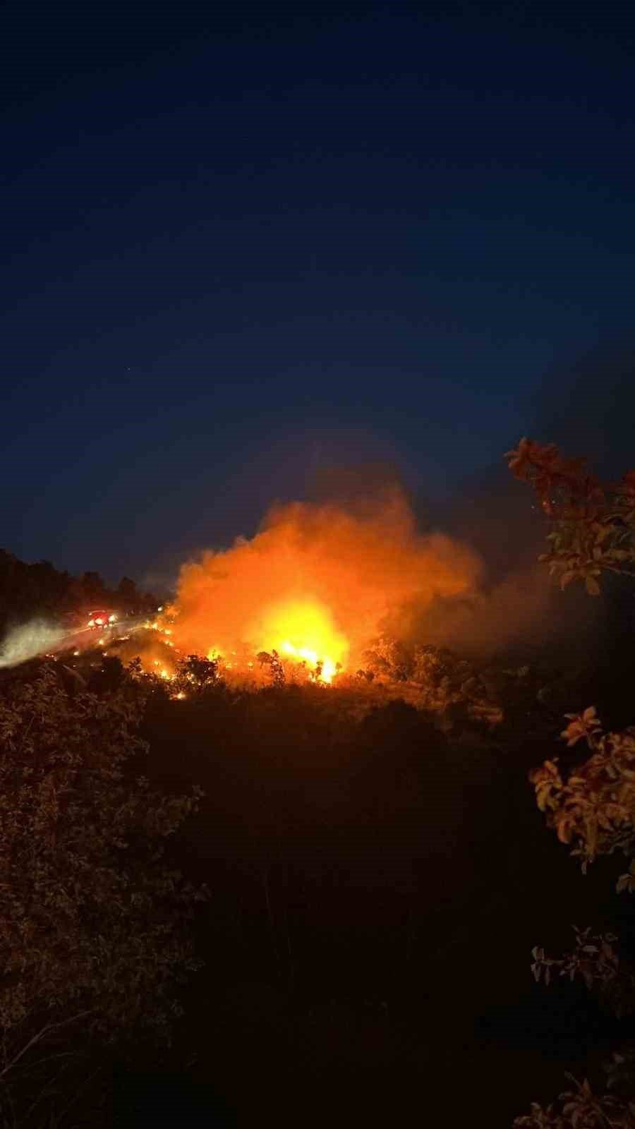 Gediz’de korkutan yangın
