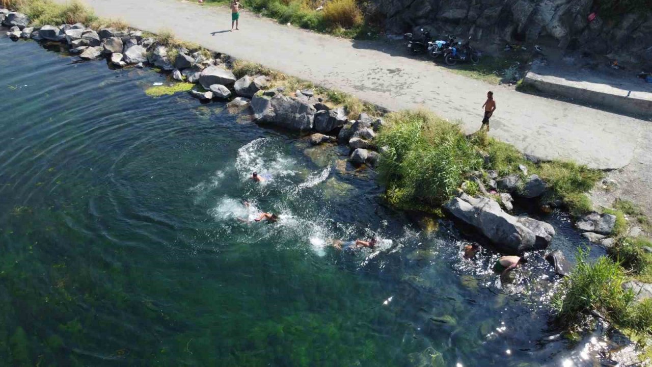 Ağrı Dağı eteklerinde yüzme keyfi