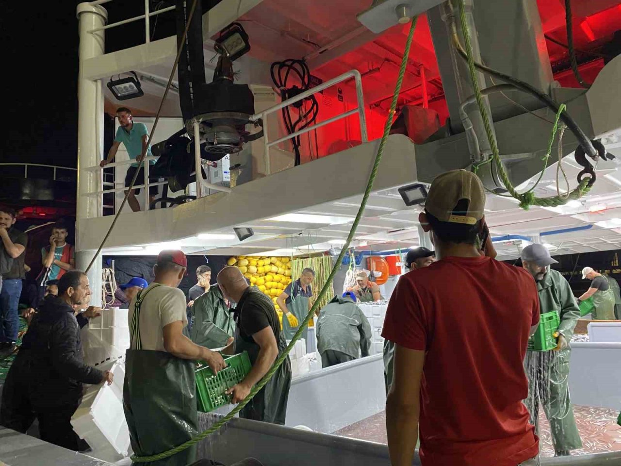 Av yasağı bitti, sezonun ilk balıkları avlandı