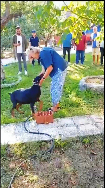 Tina ile Angela kavuştu... Kayıp Ekonomist olayında duygu dolu anlar