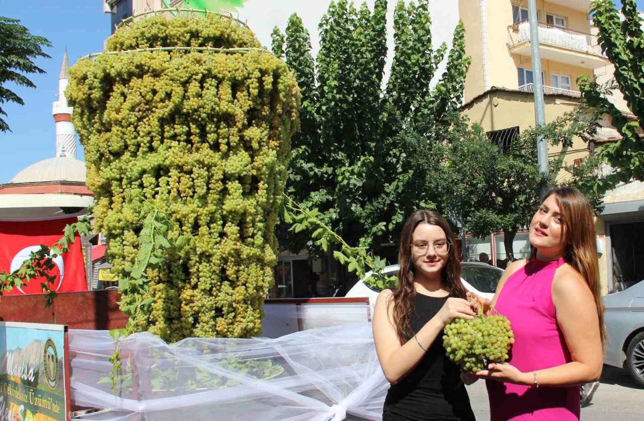 Sezonun ilk kuru üzümü bin 250 TL’den alındı