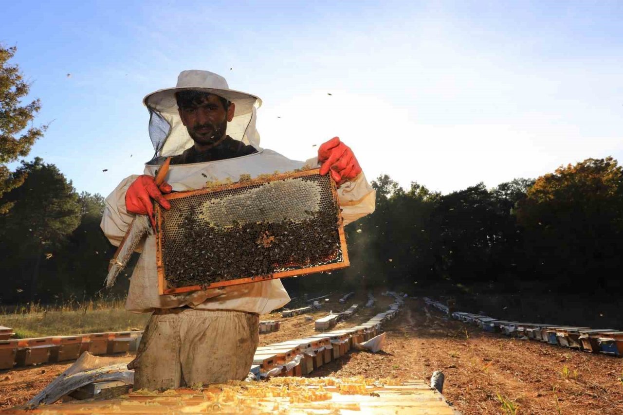 ‘Temiz Petek’ projesi başladı