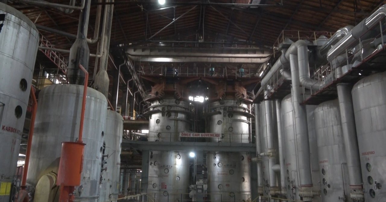 Şeker pancarı üretiminden ekonomiye 2 milyar 400 milyon lira katkı