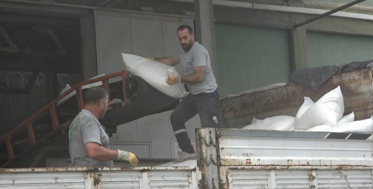 Şeker pancarı üretiminden ekonomiye 2 milyar 400 milyon lira katkı