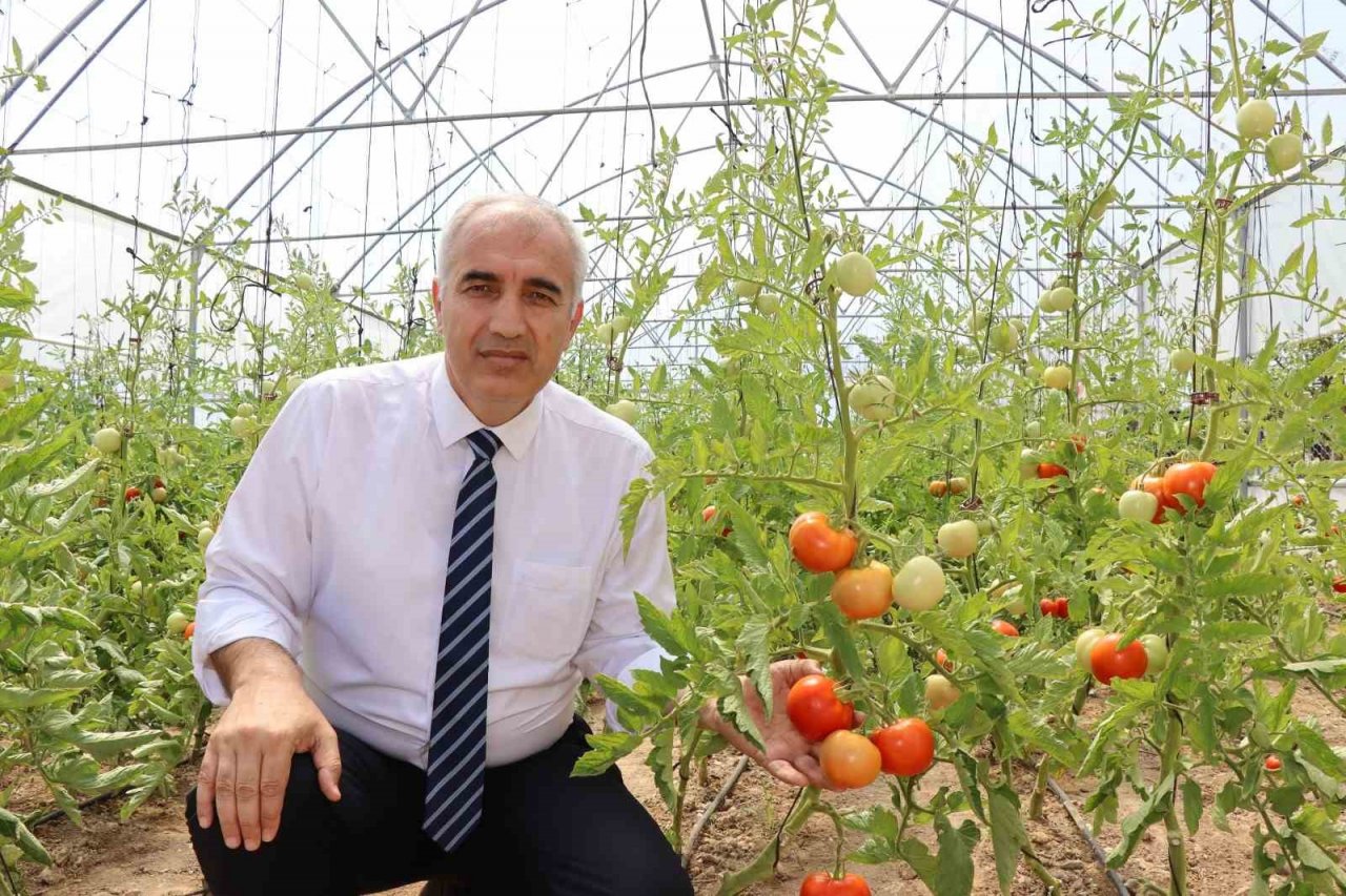 Oltu’da devlet destekli seralar çiftçilerin yüzünü güldürdü