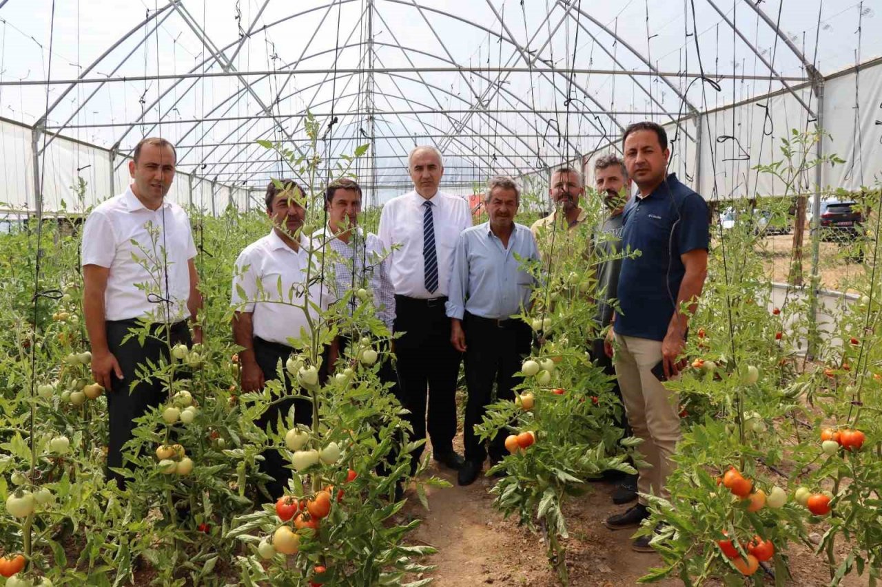 Oltu’da devlet destekli seralar çiftçilerin yüzünü güldürdü