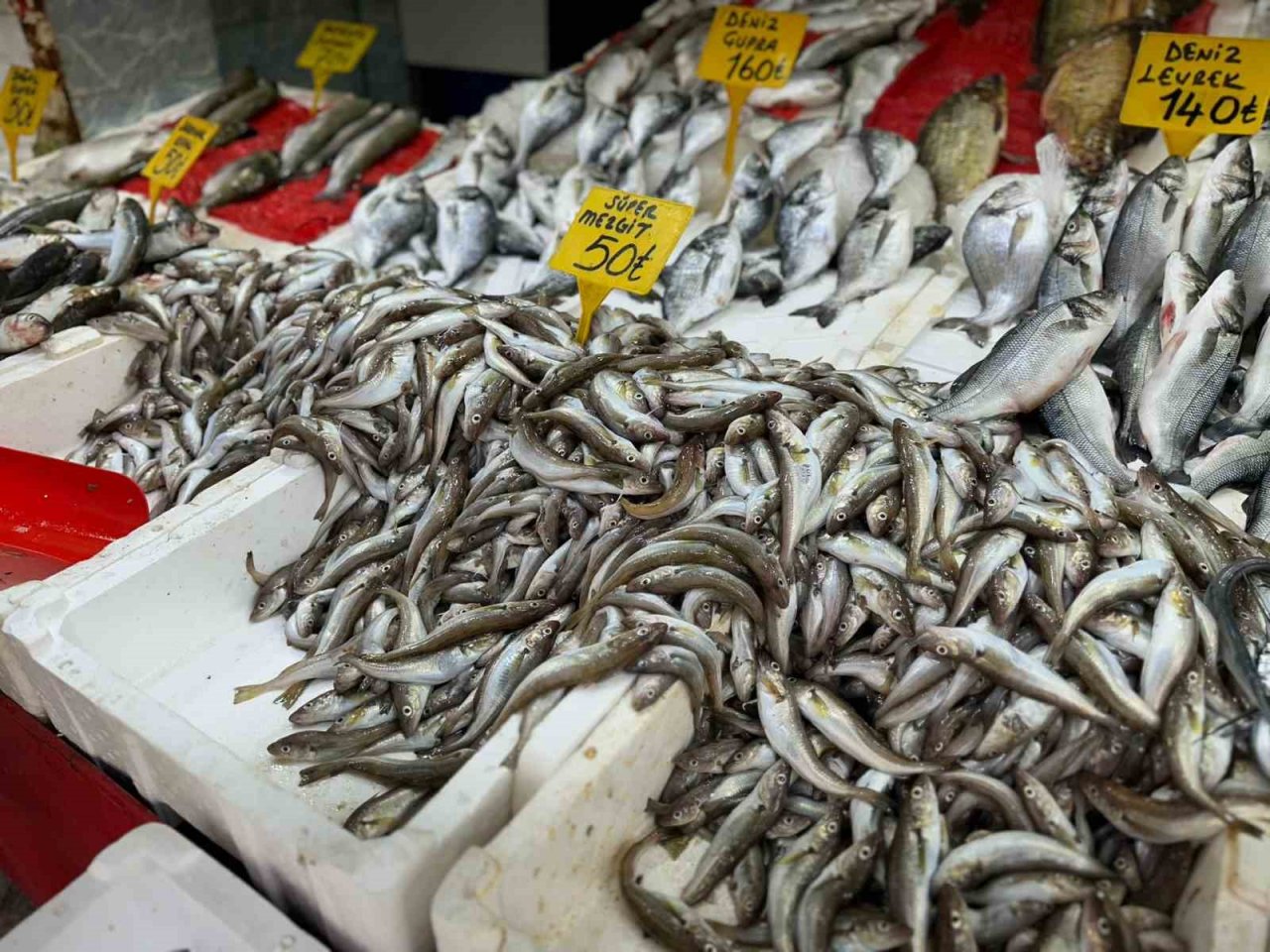 Sezonun ilk balıkları tezgahlarda