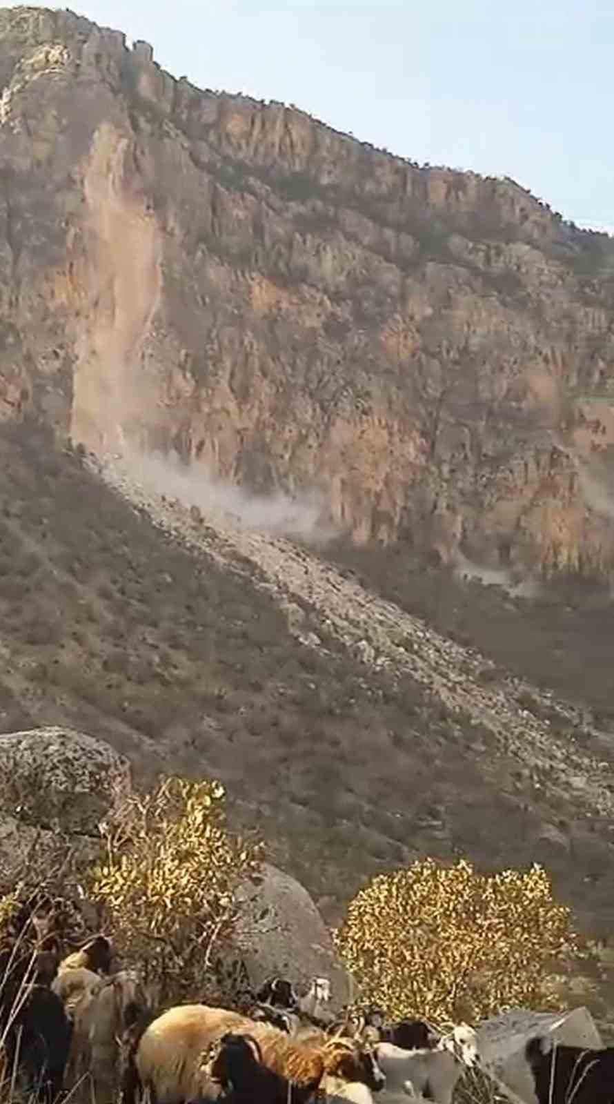 Siirt’teki deprem bir çobanın cep telefonuyla görüntülendi