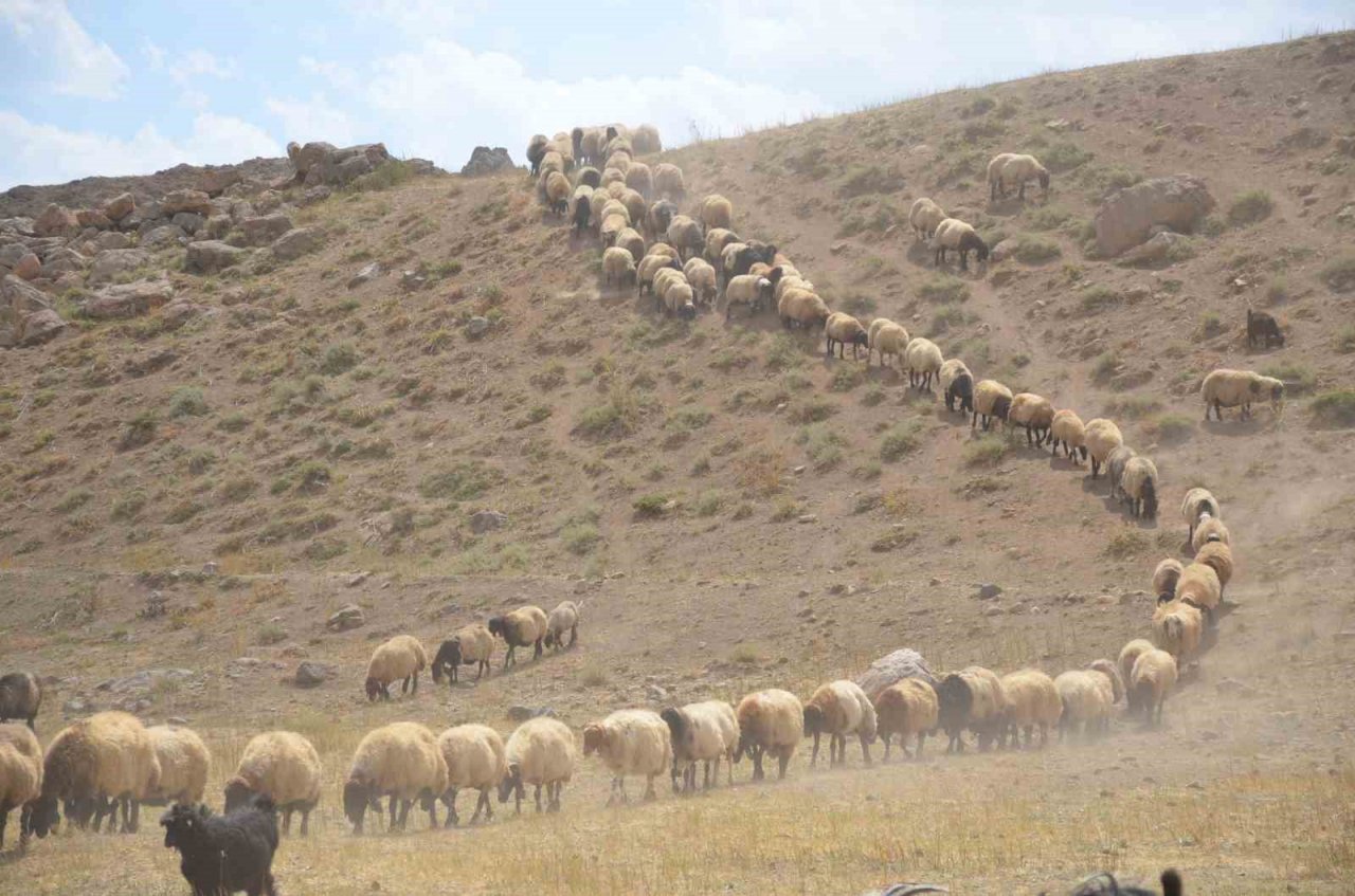 Göçerler son demlerini yaşıyor