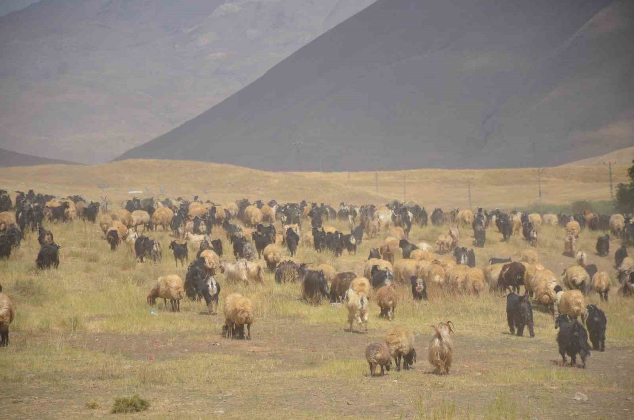 Göçerler son demlerini yaşıyor