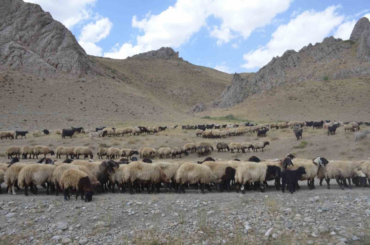 Göçerler son demlerini yaşıyor