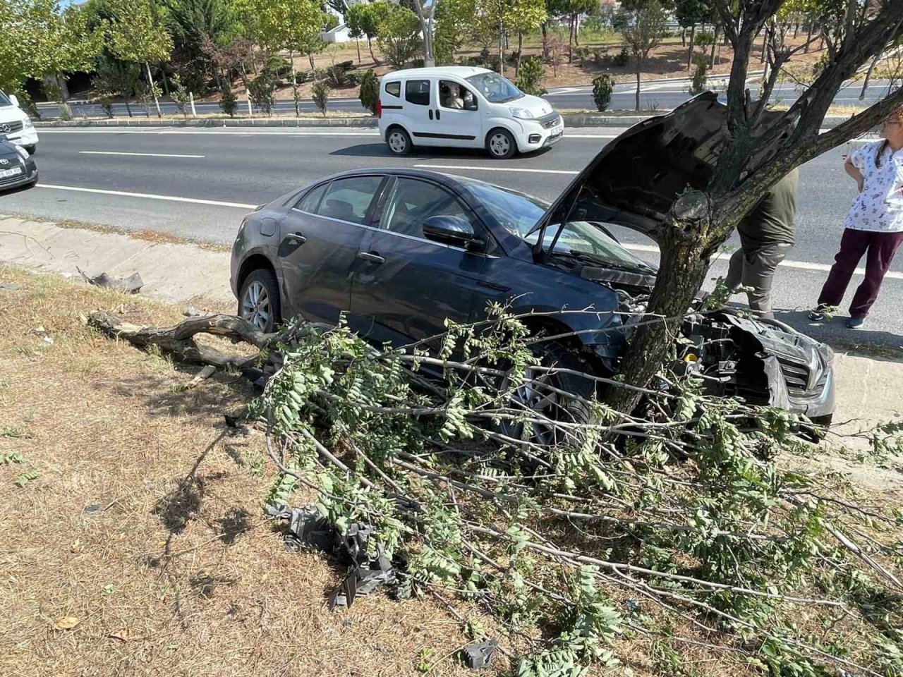 Yoldan çıkan otomobil ağaçlık alana daldı