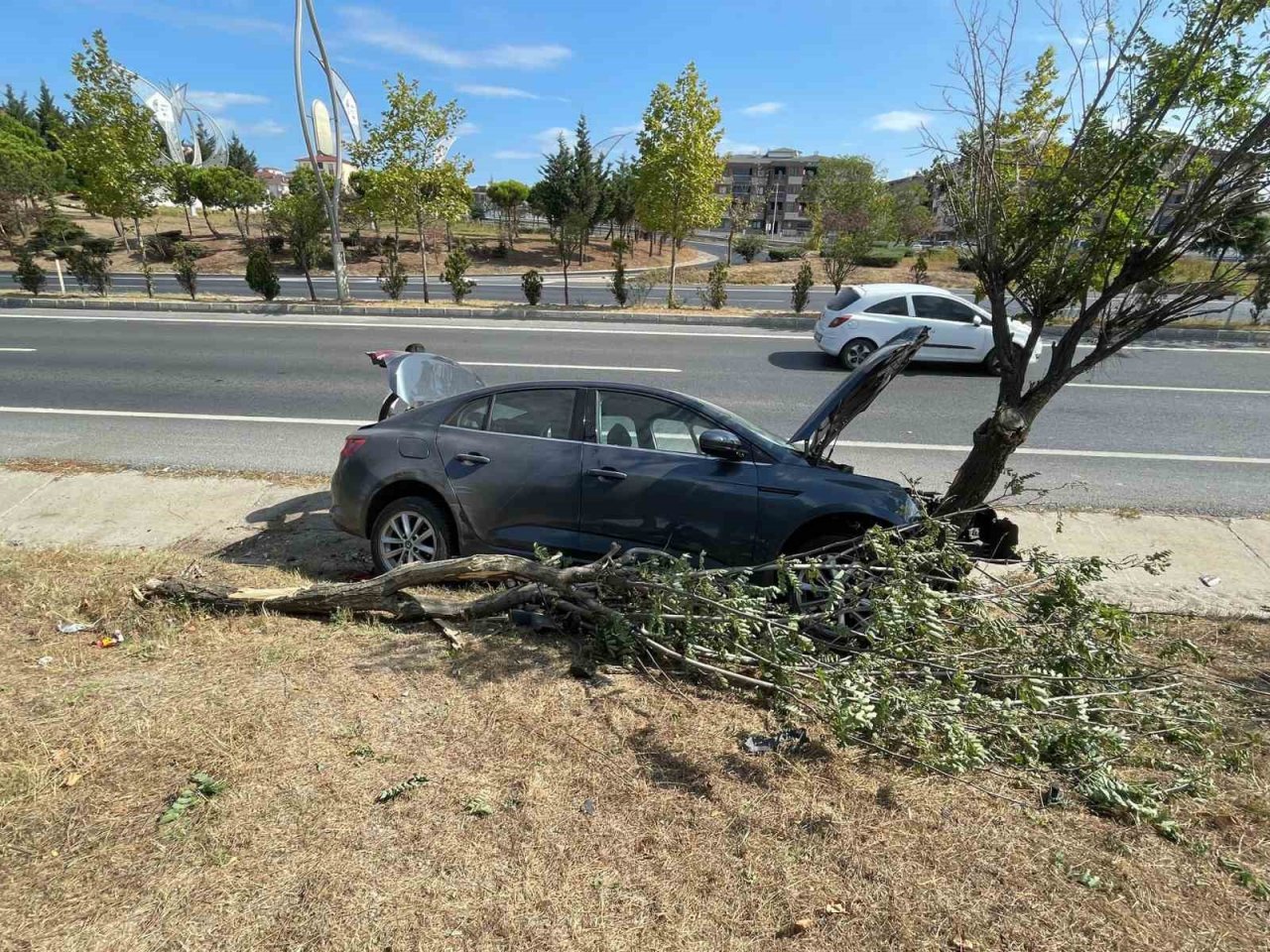 Yoldan çıkan otomobil ağaçlık alana daldı