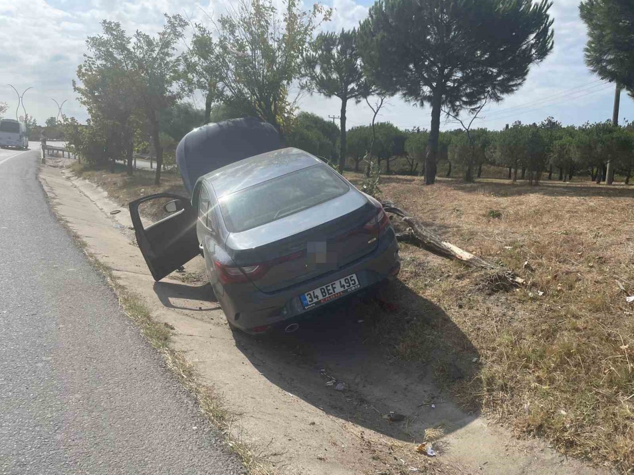 Yoldan çıkan otomobil ağaçlık alana daldı