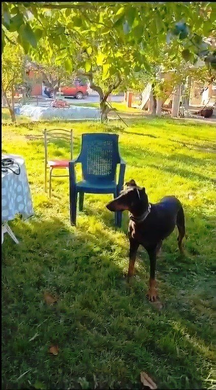 Tina ile Angela kavuştu... Kayıp Ekonomist olayında duygu dolu anlar