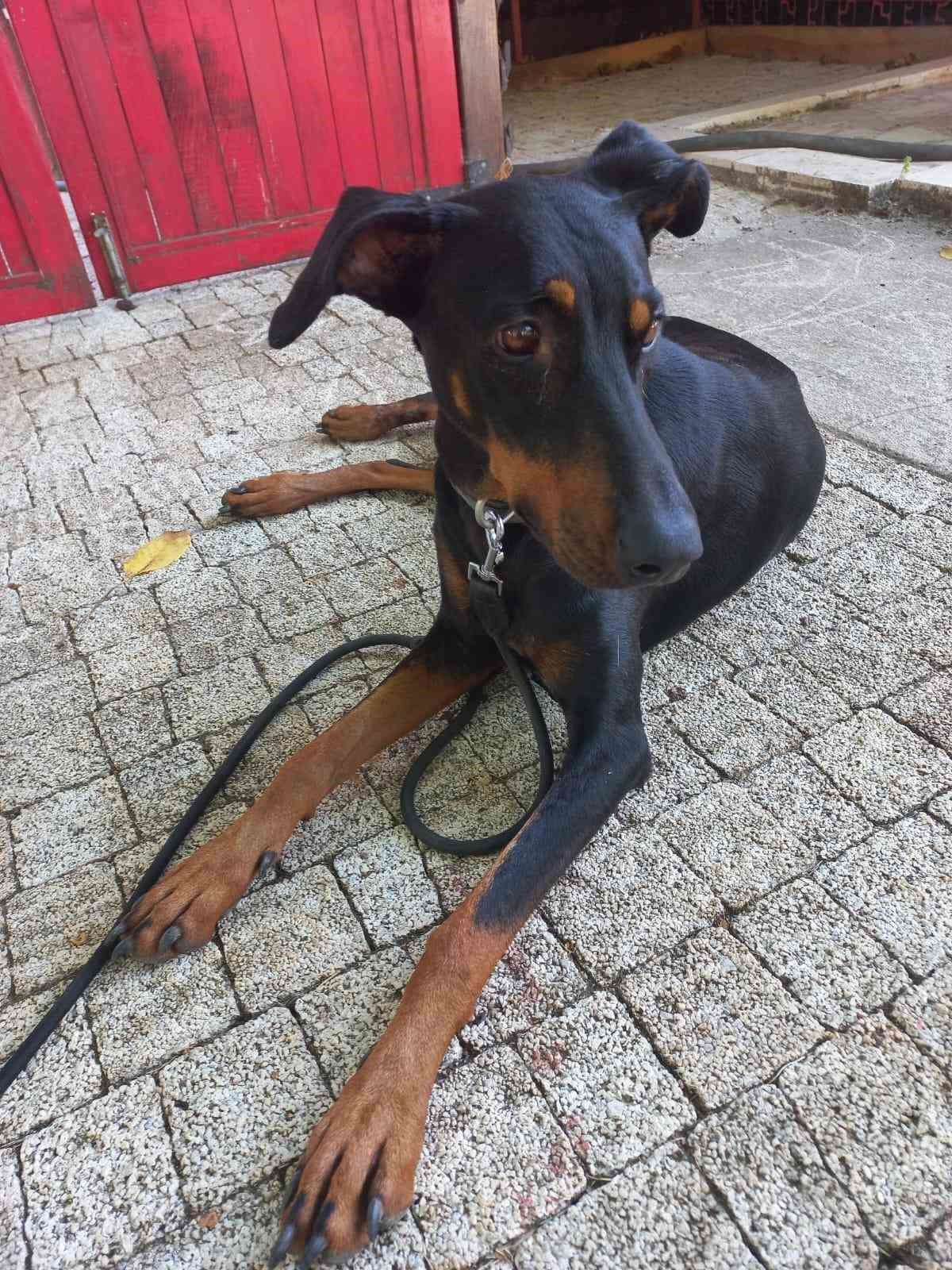 Tina ile Angela kavuştu... Kayıp Ekonomist olayında duygu dolu anlar