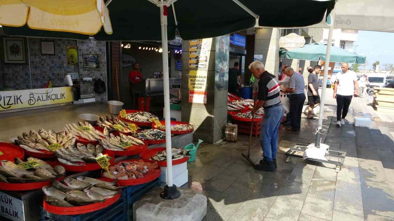 Trabzon’da balık av sezonu sönük başladı