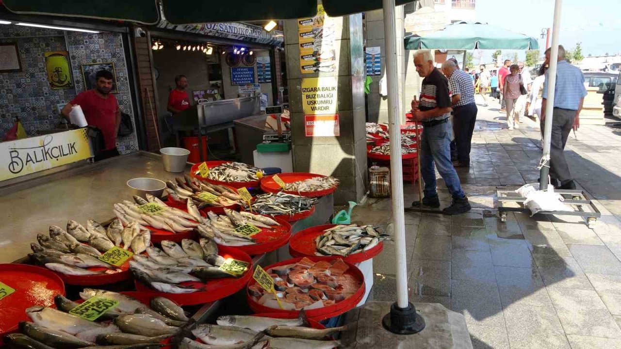 Trabzon’da balık av sezonu sönük başladı