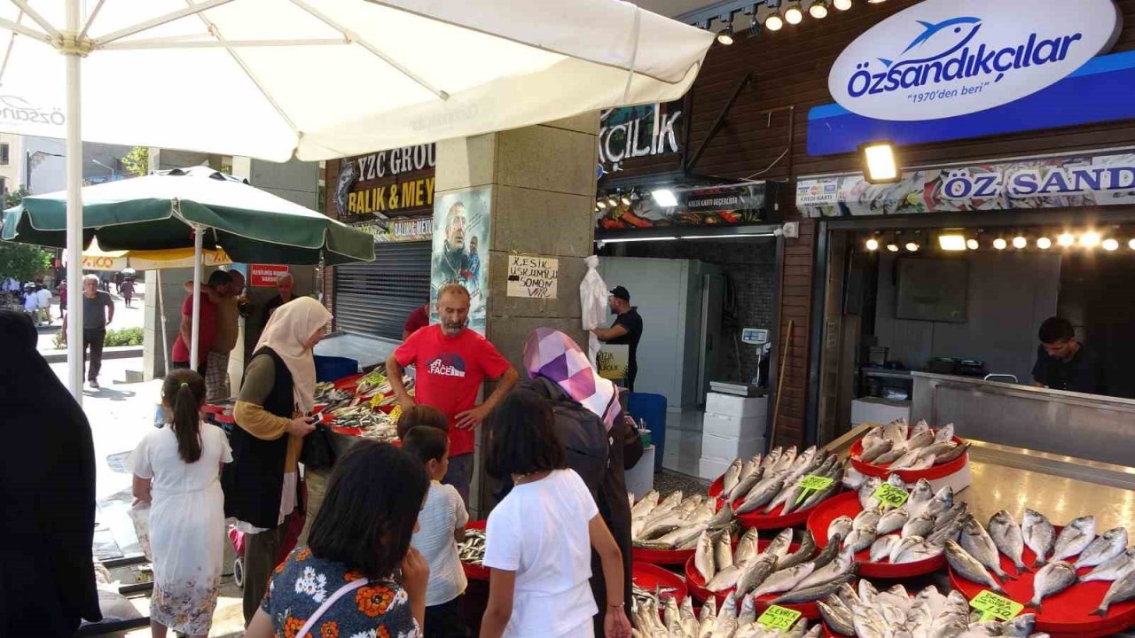 Trabzon’da balık av sezonu sönük başladı