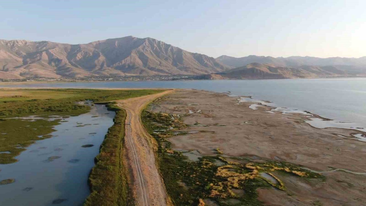 Prof. Dr. Aslan: “Van Gölü’nün sulak alanları yok oluyor”