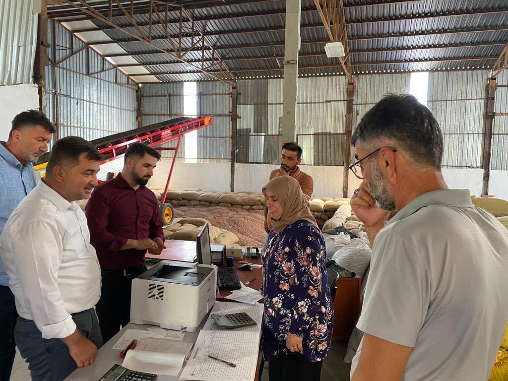 Akçakoca TMO’da fındık alımı günlük 70 tona çıktı