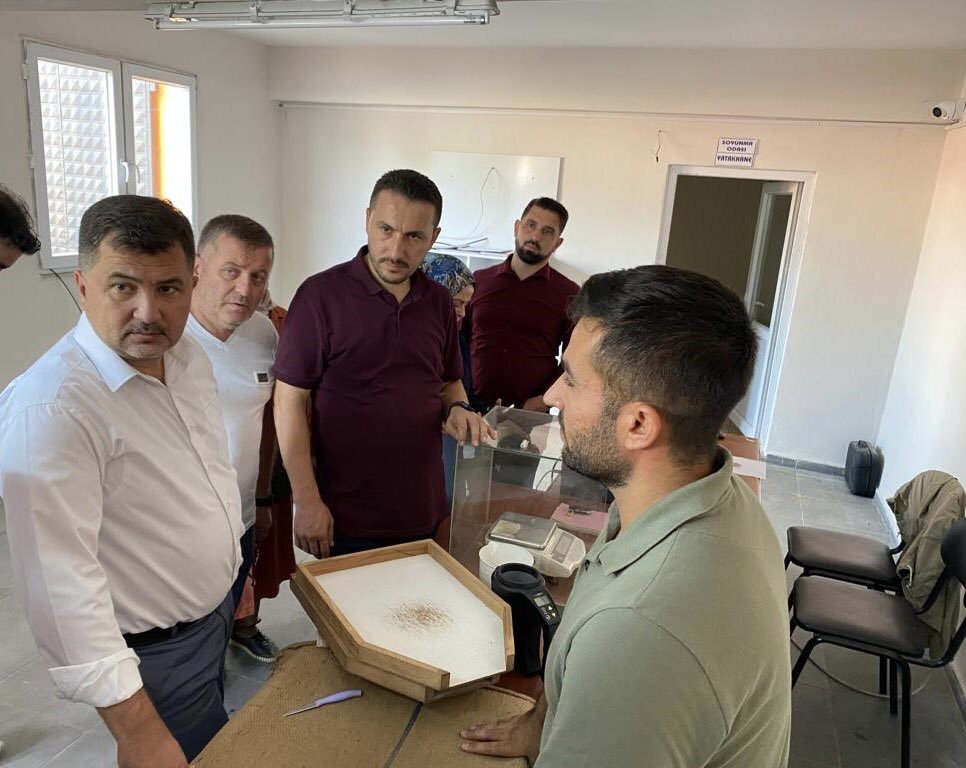 Akçakoca TMO’da fındık alımı günlük 70 tona çıktı