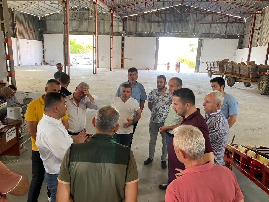 Akçakoca TMO’da fındık alımı günlük 70 tona çıktı