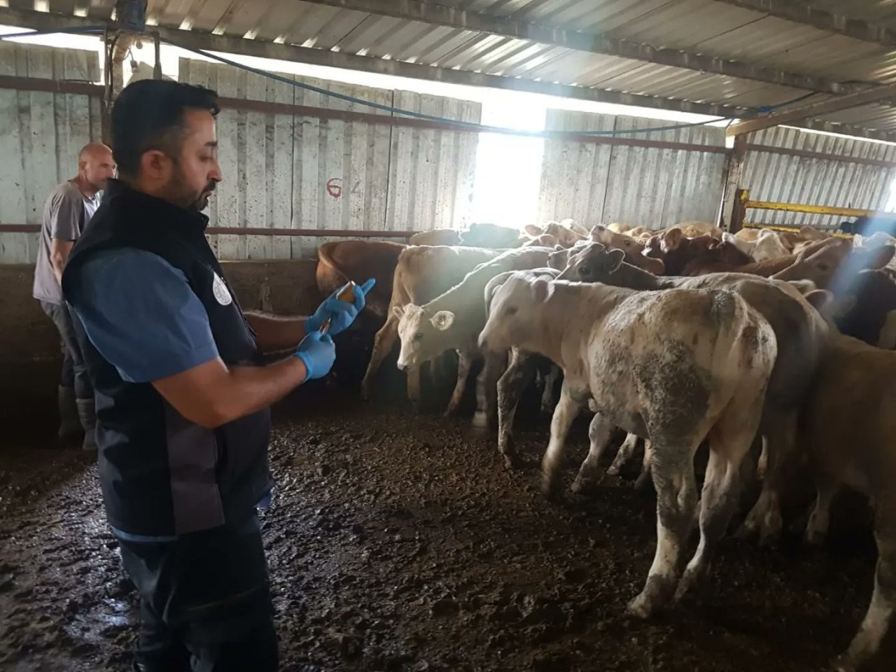 Aşılatmayana cezai işlem uygulanacak