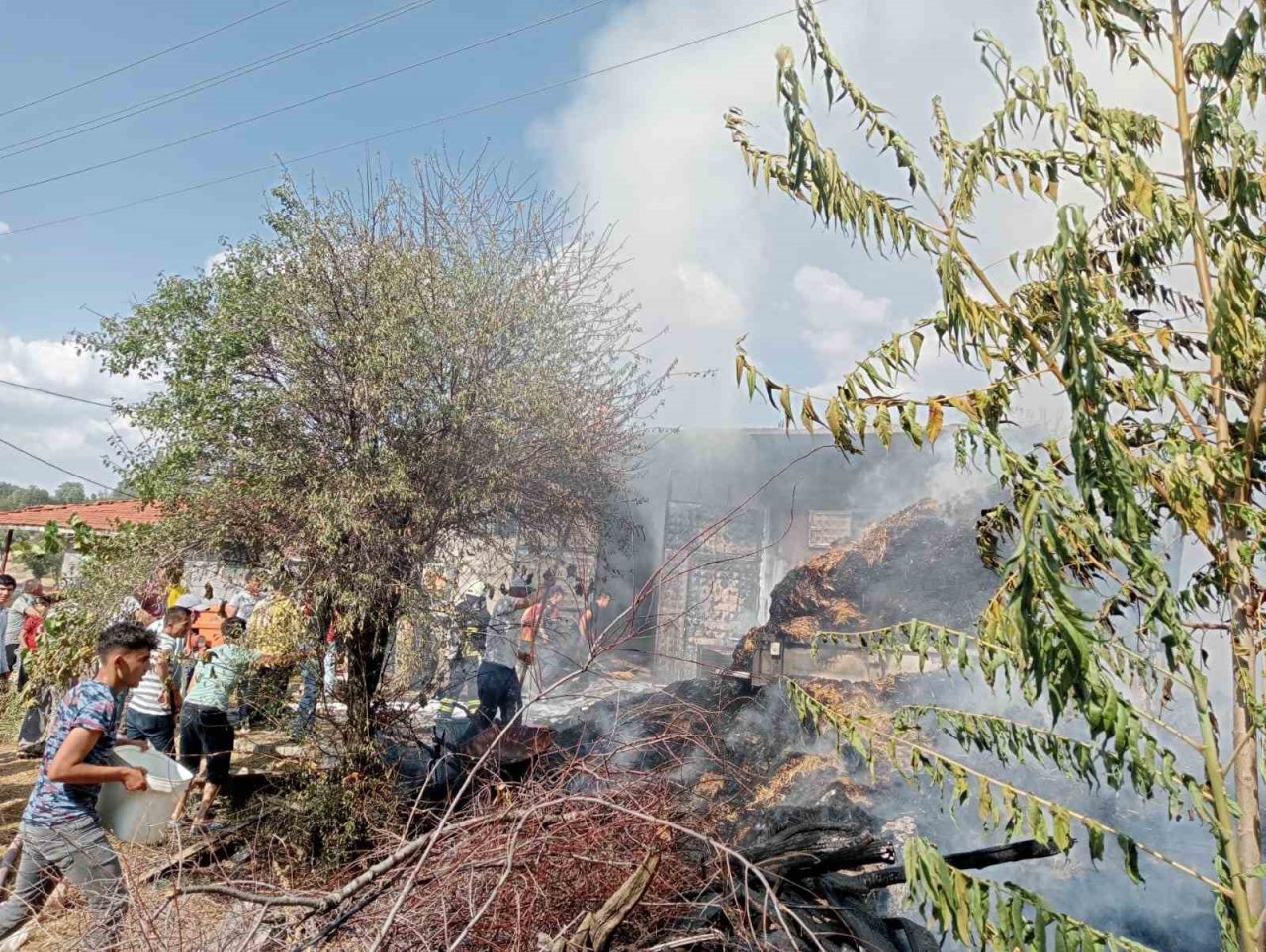 Gediz’de meydana gelen yangında traktör yandı, hayvanlar telef oldu