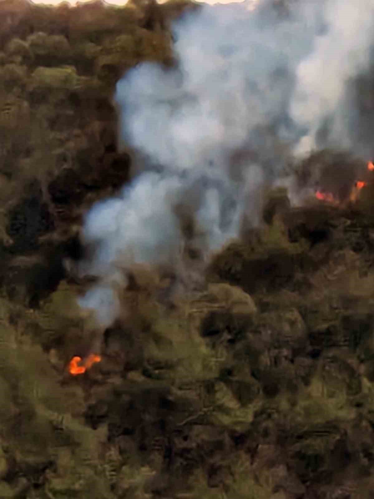 Marmaris Karacasöğüt’te orman yangını