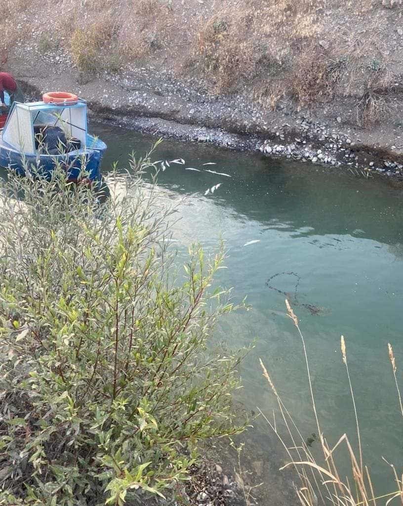 Isparta Eğirdir Gölü’nde kaçak balık avlayan 2 şahsa idari ceza uygulandı
