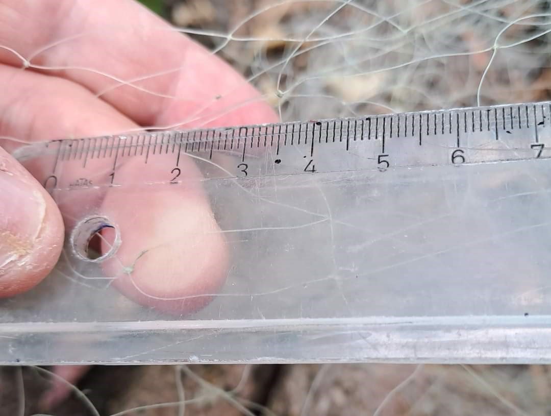 Isparta Eğirdir Gölü’nde kaçak balık avlayan 2 şahsa idari ceza uygulandı