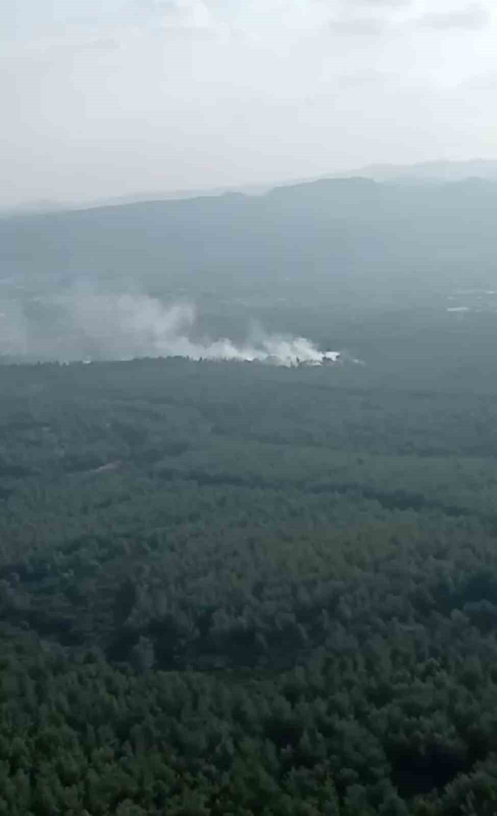 İzmir’deki orman yangını kontrol altında