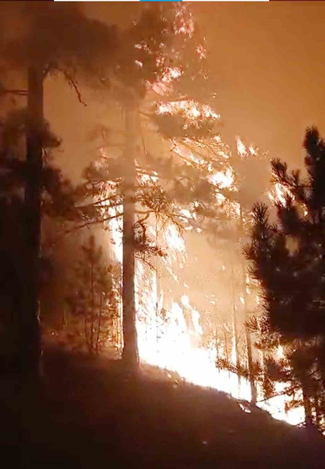 Köyceğiz Otmanlar’da 3 hektar ormanlık alan yandı