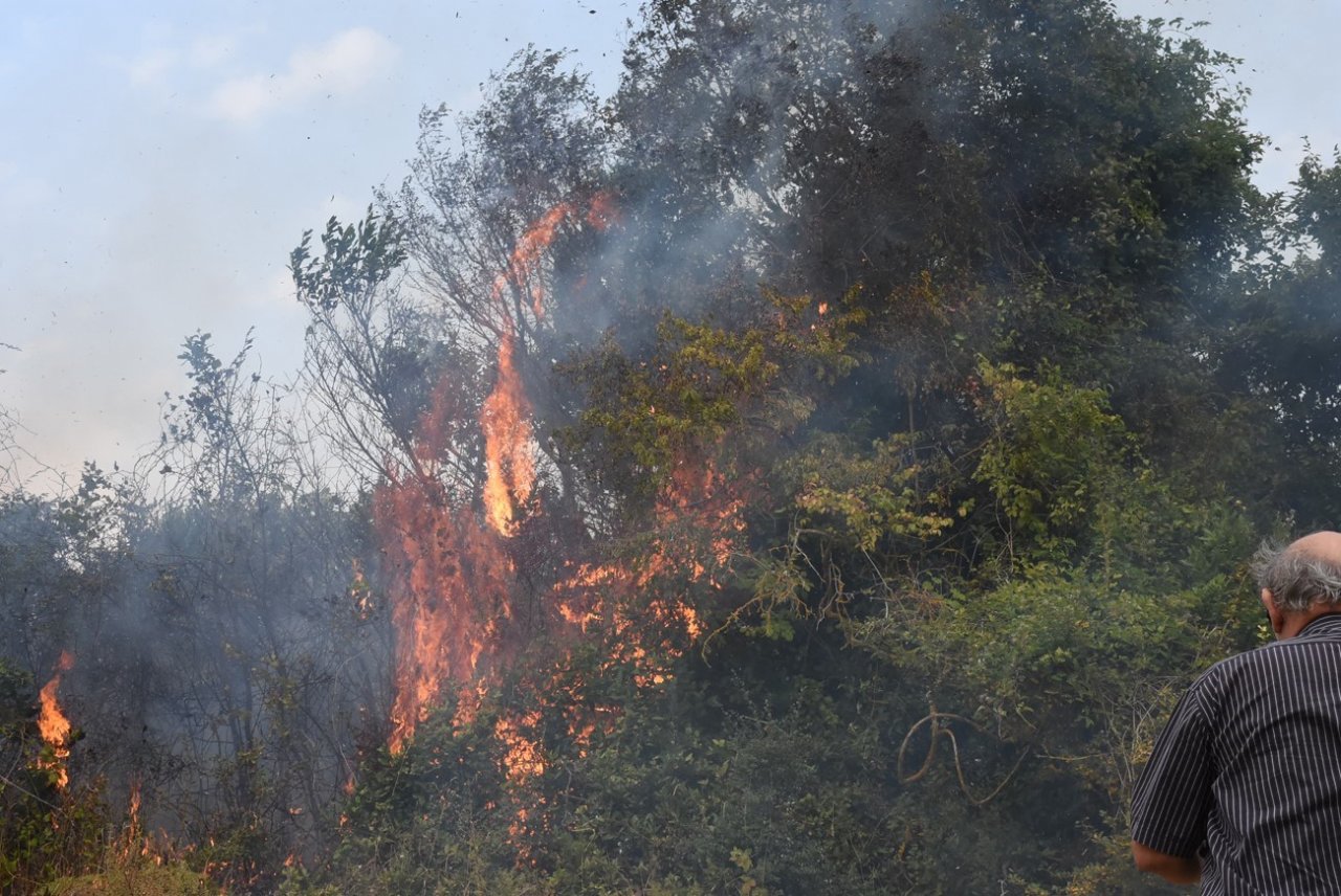 Sinop’ta yangın: 10 dönüm alan zarar gördü