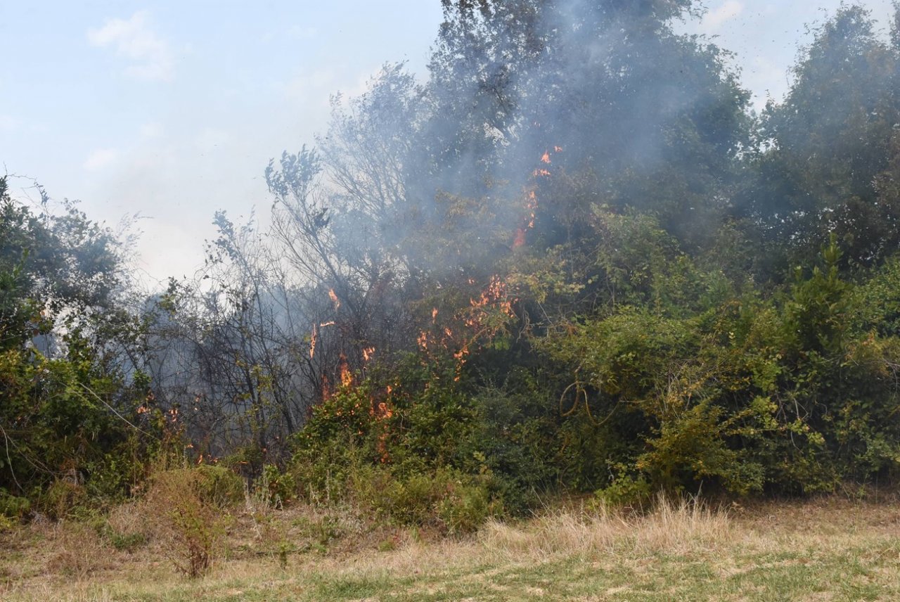 Sinop’ta yangın: 10 dönüm alan zarar gördü