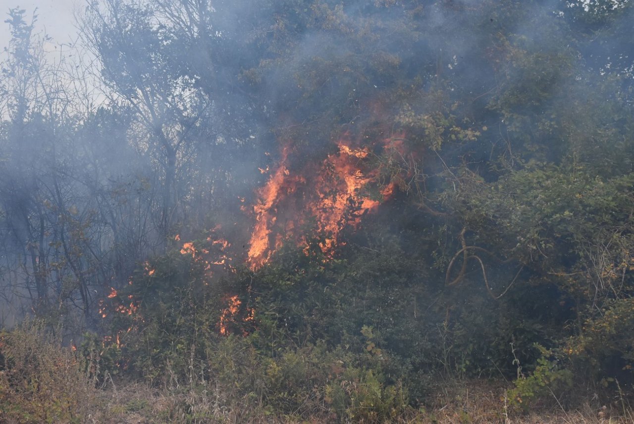 Sinop’ta yangın: 10 dönüm alan zarar gördü
