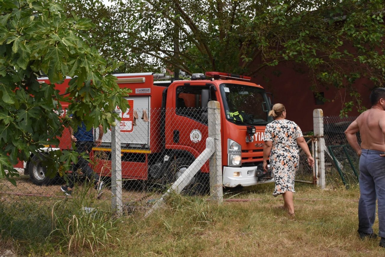 Sinop’ta yangın: 10 dönüm alan zarar gördü